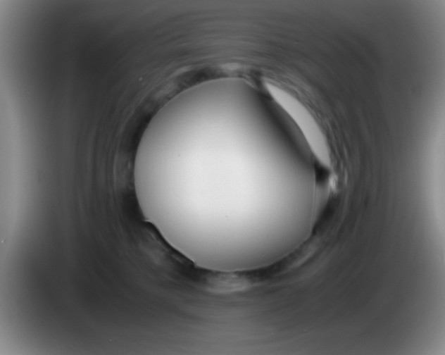 X0000084010421200703091931