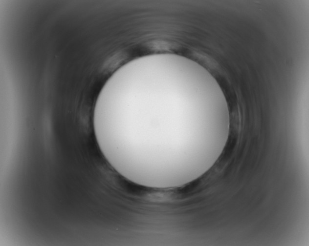 X0000084010422200703091931