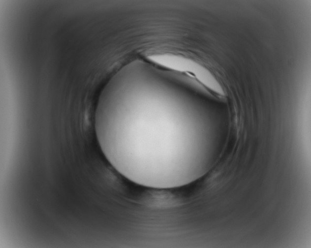 X0000084010424200703091931