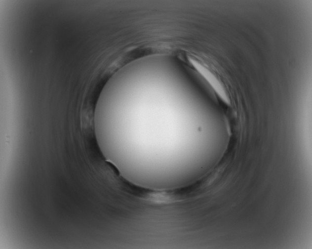 X0000084010425200703091931