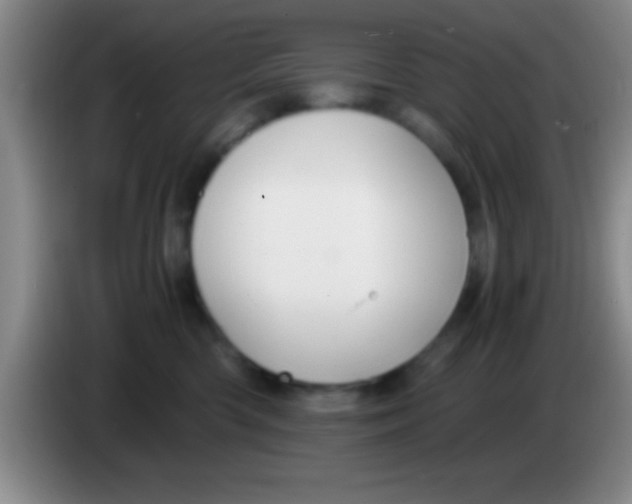 X0000084010426200703091931