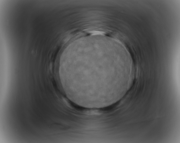 X0000084010428200703091931