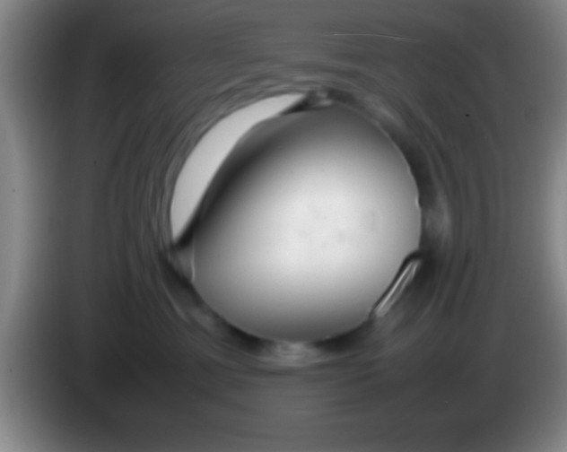 X0000084010429200703091931