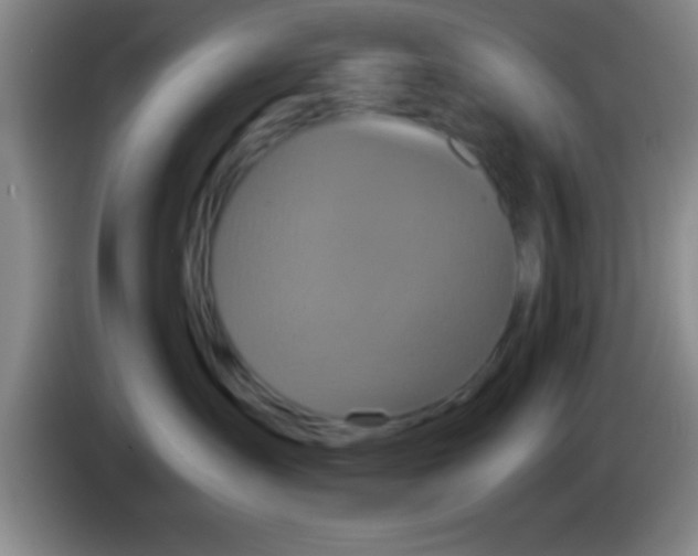 X0000084010431200703091931