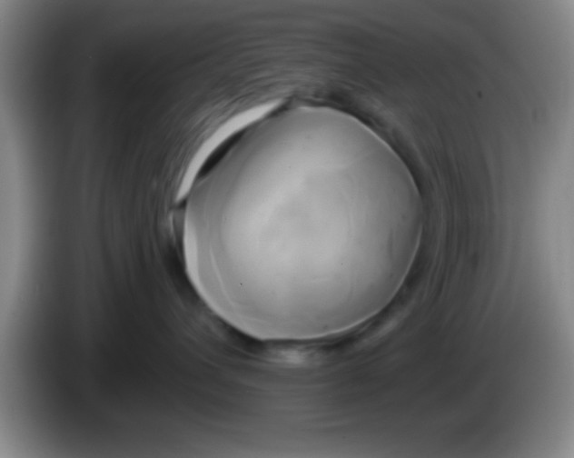 X0000084010432200703091931