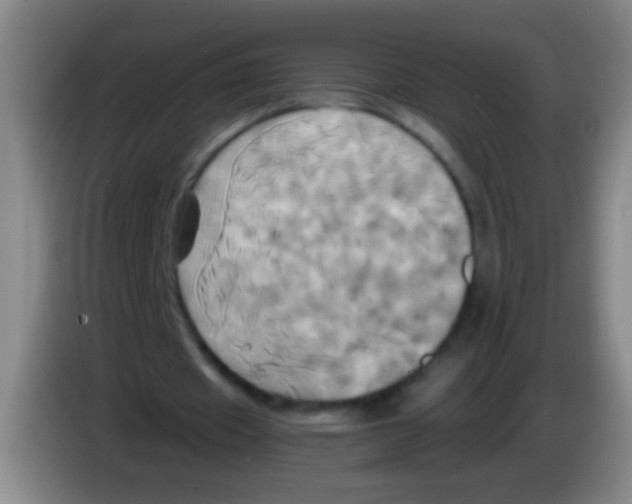 X0000084010433200703091930