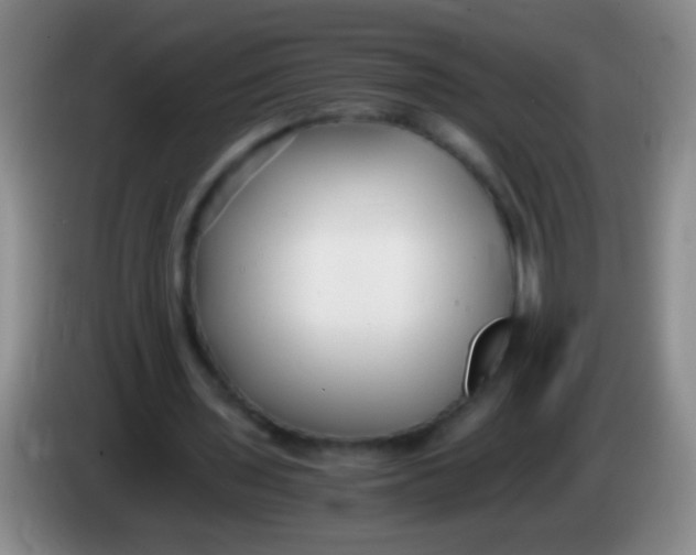 X0000084010435200703091930