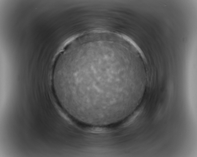 X0000084010437200703091930