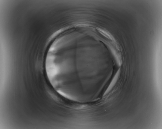 X0000084010438200703091930