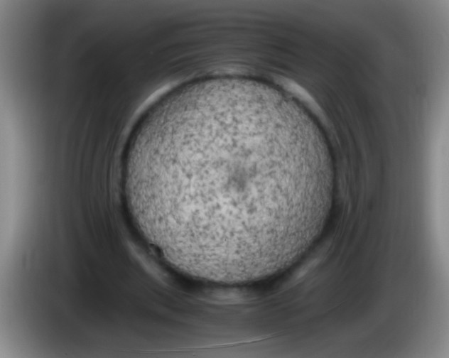 X0000084010439200703091930