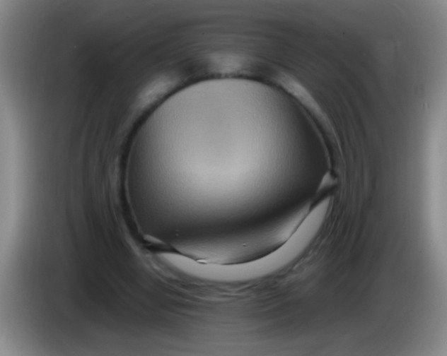 X0000084010442200703091930