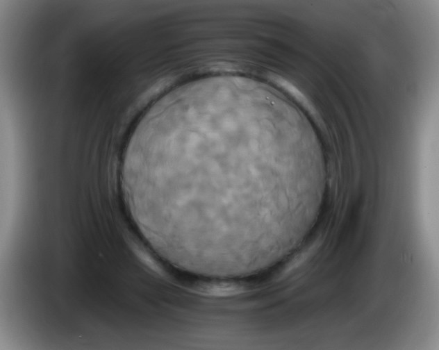 X0000084010445200703091930