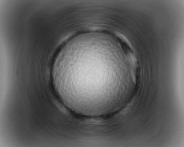 X0000084010447200703091930