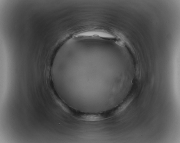 X0000084010449200703091930