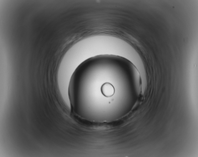 X0000084010452200703091930