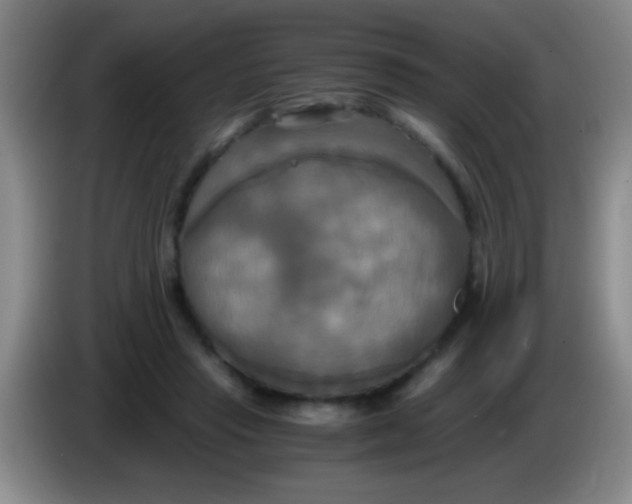 X0000084010453200703091930