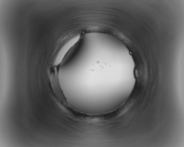 X0000084010454200703091930