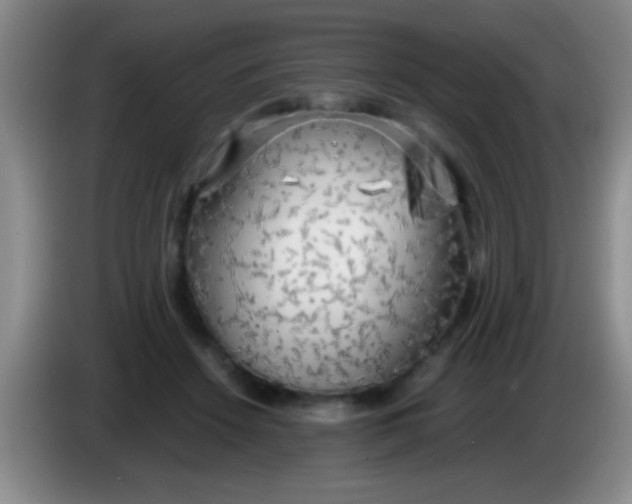 X0000084010456200703091930