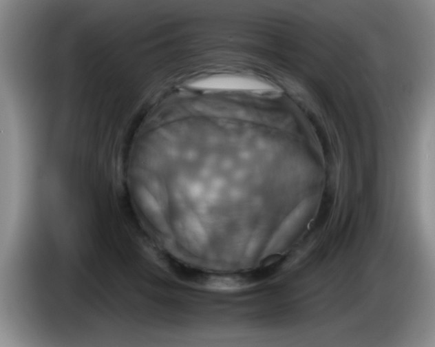 X0000084010457200703091930