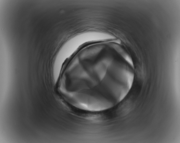 X0000084010458200703091930