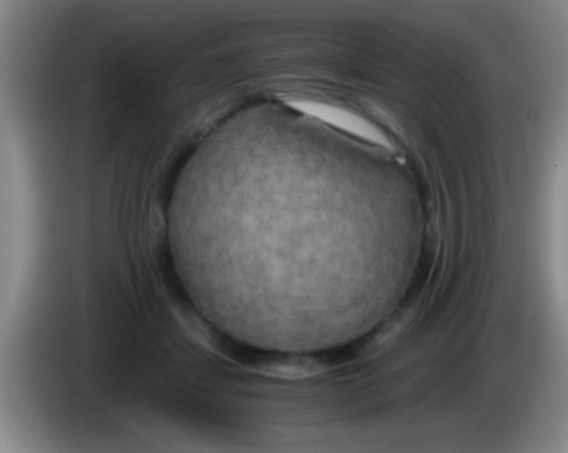 X0000084010459200703091930