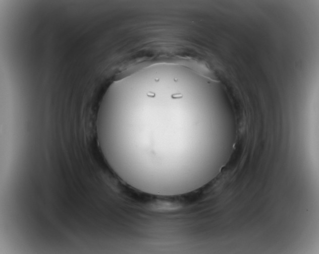 X0000084010464200703091930