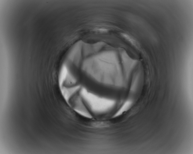 X0000084010465200703091931