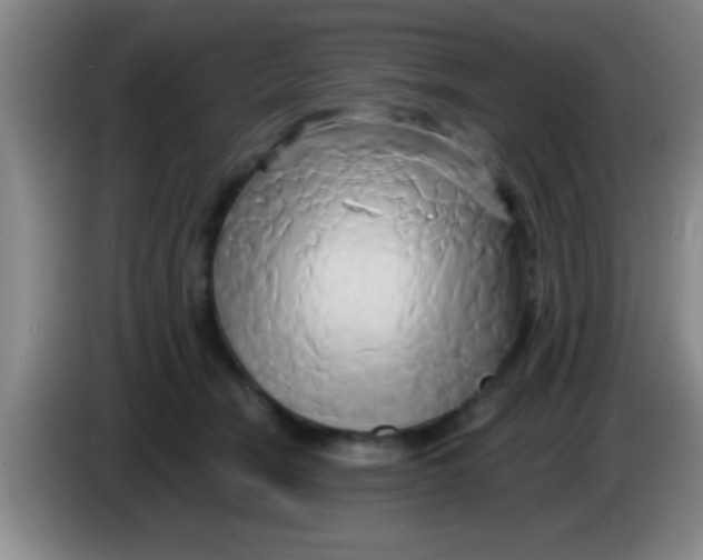 X0000084010466200703091931