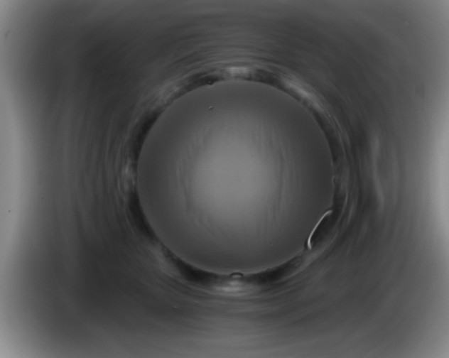 X0000084010467200703091931