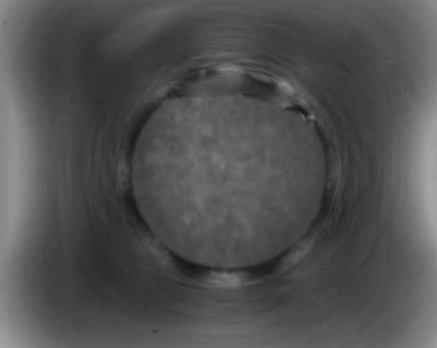 X0000084010469200703091931