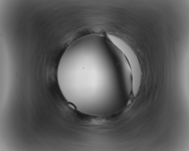 X0000084010470200703091931