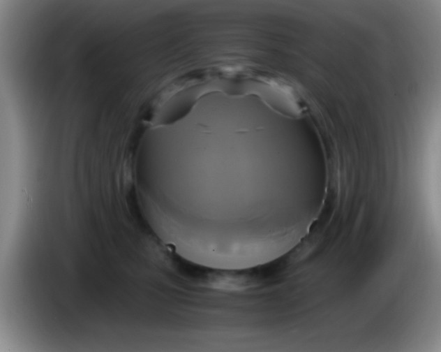 X0000084010471200703091931