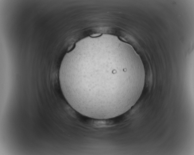 X0000084010473200703091931