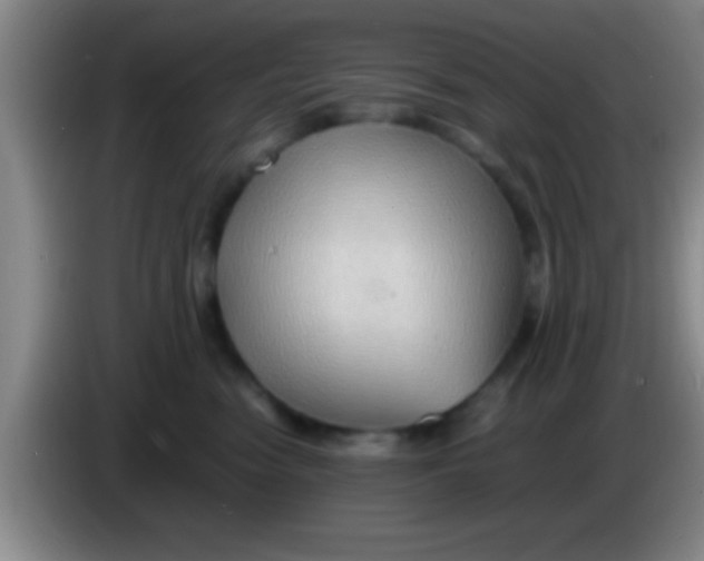 X0000084010474200703091931