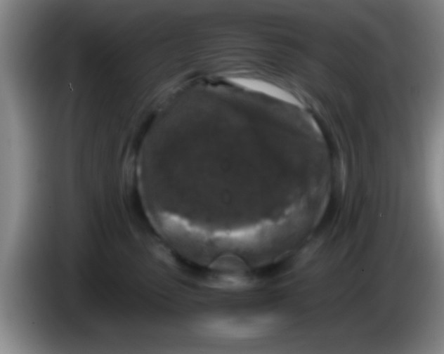 X0000084010475200703091931