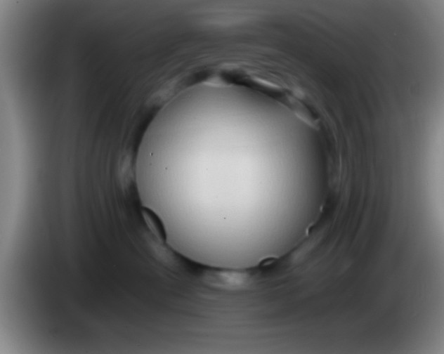 X0000084010478200703091931