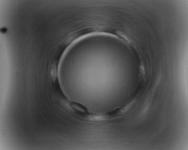 X0000084010479200703091931