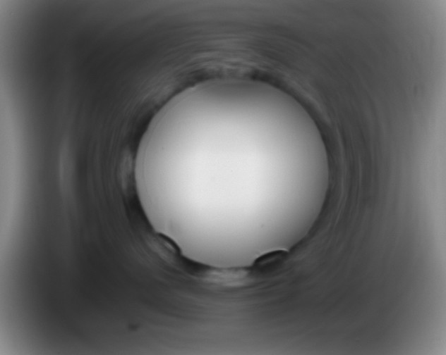 X0000084010480200703091931