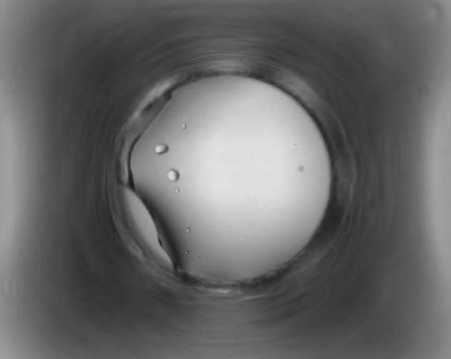 X0000084010482200703091930