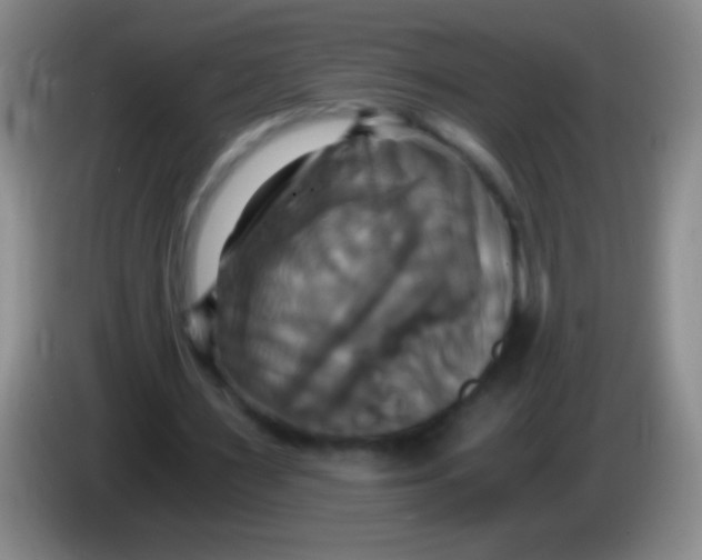 X0000084010483200703091930