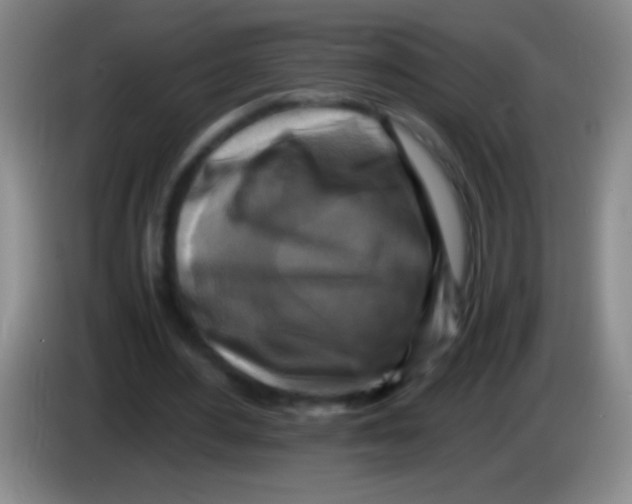 X0000084010484200703091930