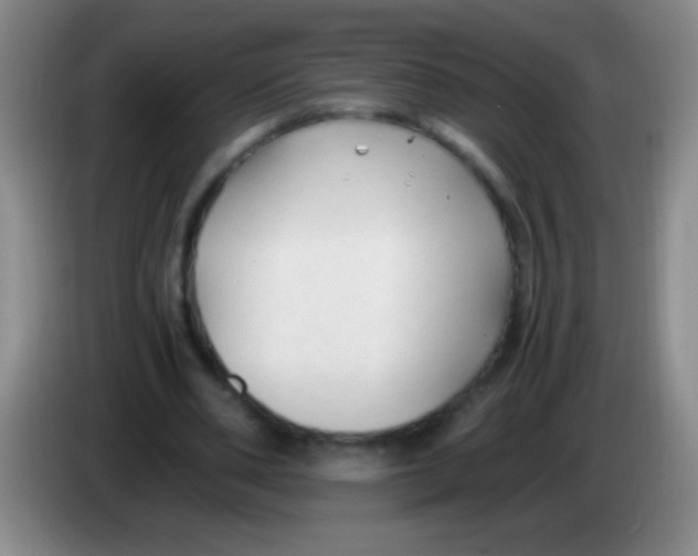 X0000084010486200703091930