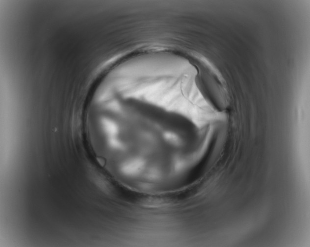 X0000084010487200703091930