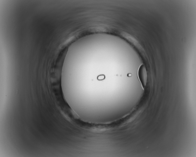 X0000084010489200703091930