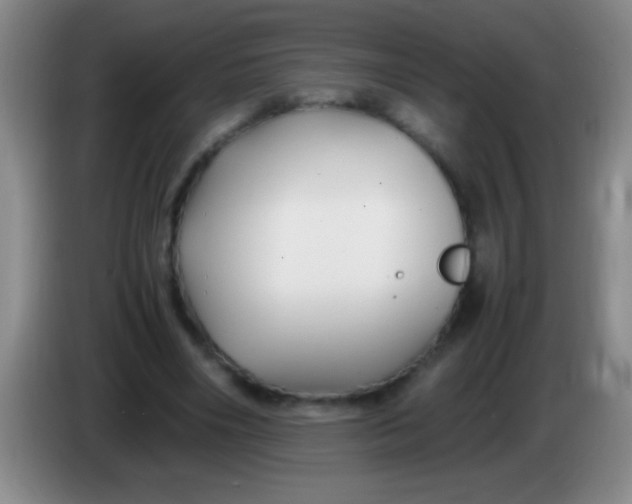 X0000084010490200703091930