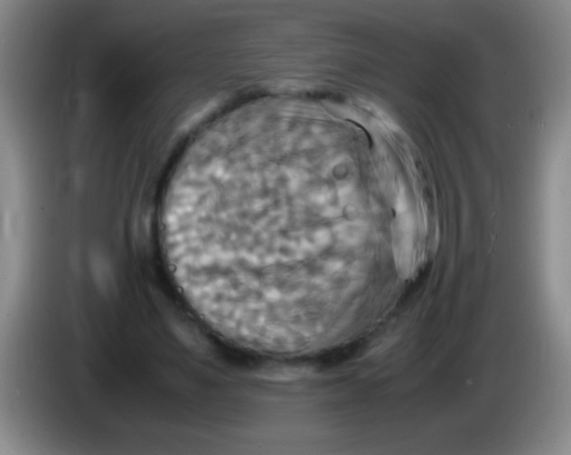 X0000084010491200703091930