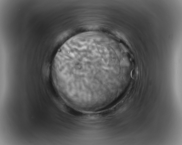 X0000084010495200703091930