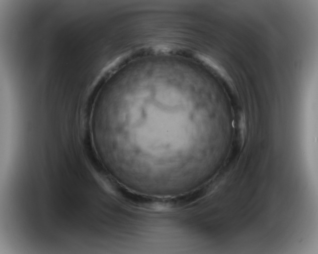 X0000084010496200703091930