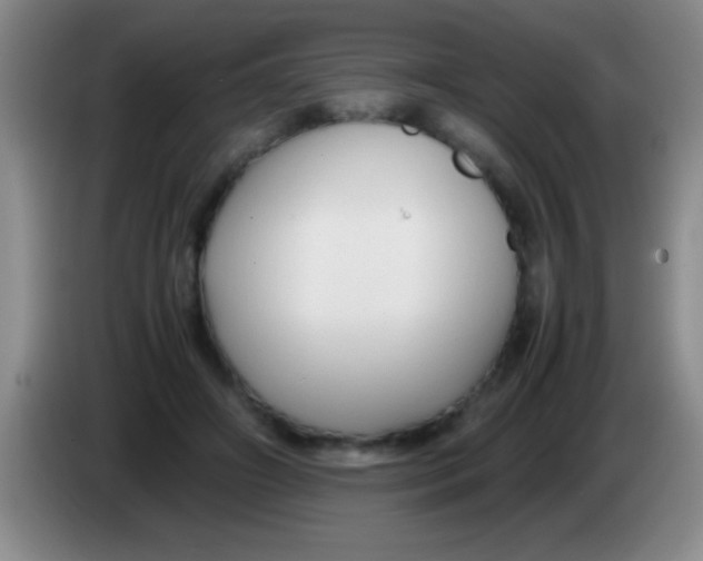 X0000084010498200703091930