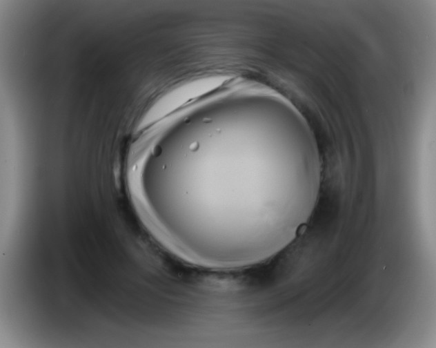 X0000084010502200703091930